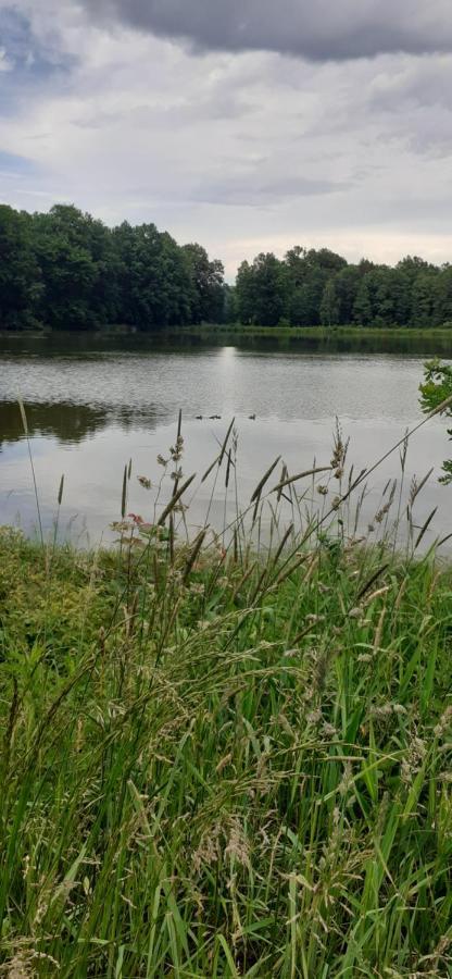 Agroturystyka Aura Kostrzyca Luaran gambar