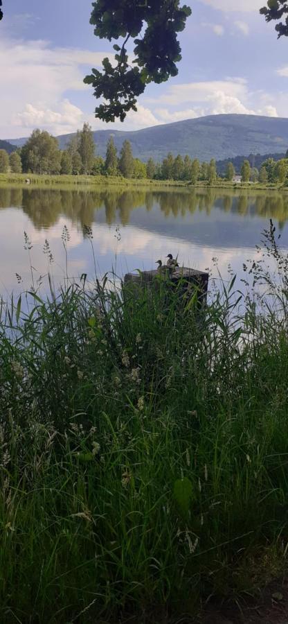 Agroturystyka Aura Kostrzyca Luaran gambar
