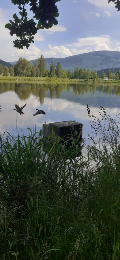 Agroturystyka Aura Kostrzyca Luaran gambar