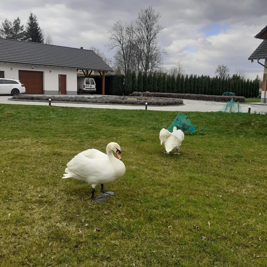 Agroturystyka Aura Kostrzyca Luaran gambar
