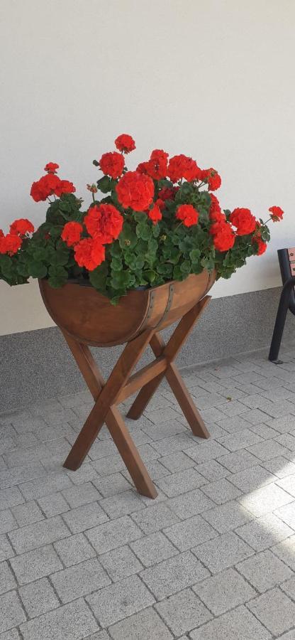 Agroturystyka Aura Kostrzyca Luaran gambar