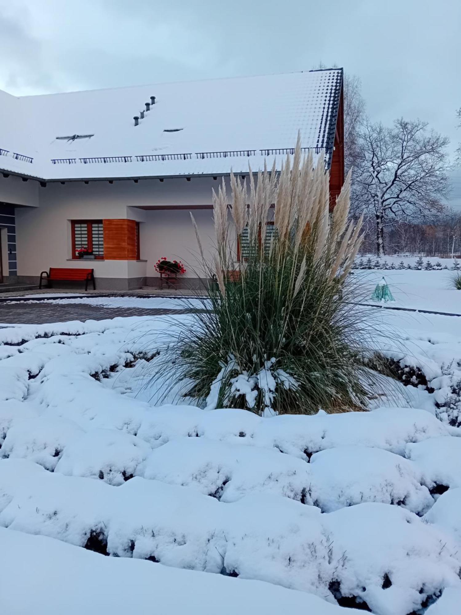 Agroturystyka Aura Kostrzyca Luaran gambar
