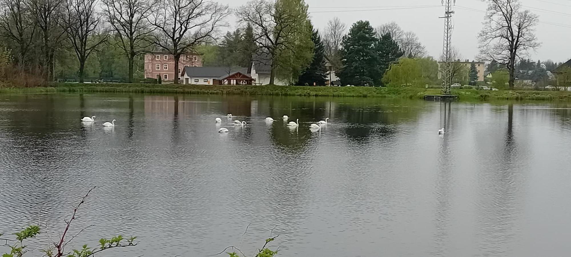 Agroturystyka Aura Kostrzyca Luaran gambar
