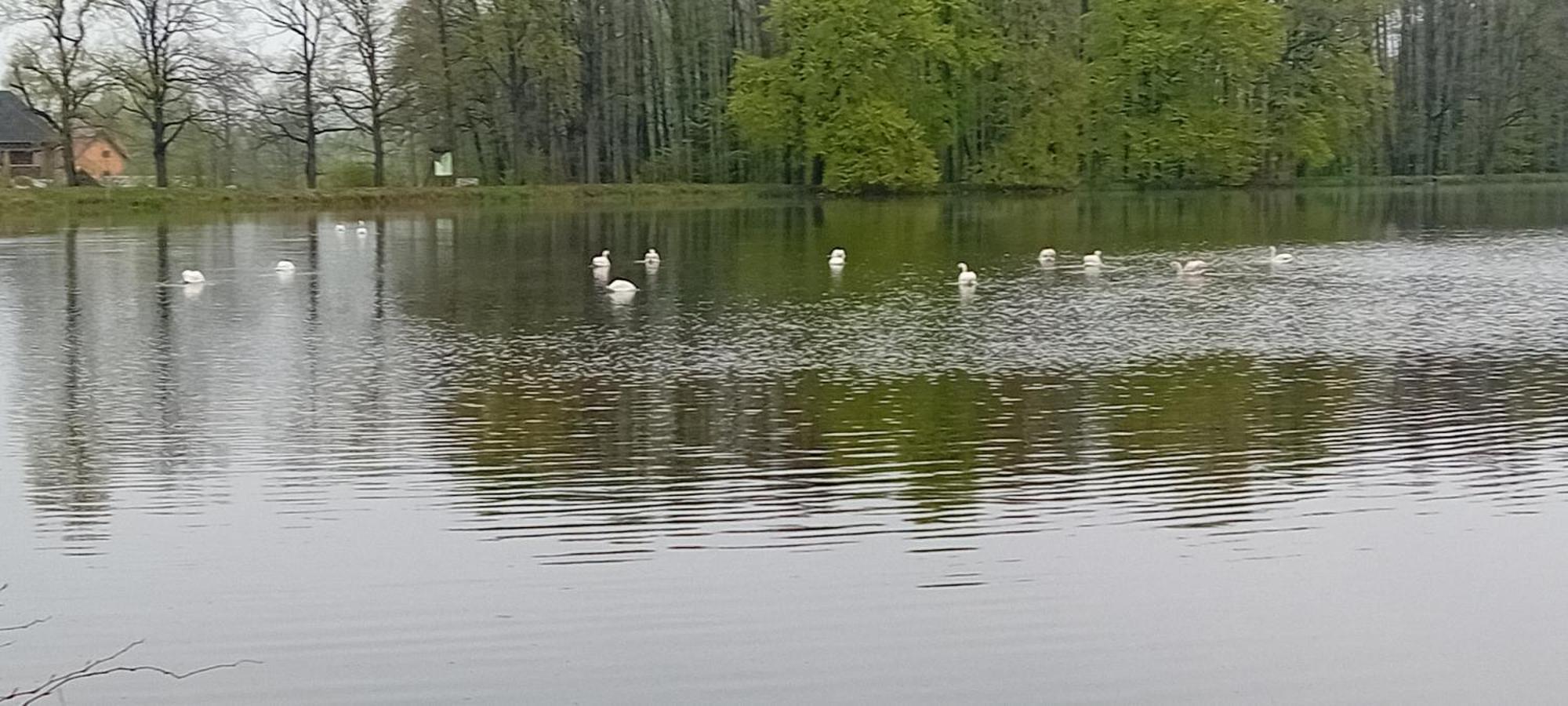 Agroturystyka Aura Kostrzyca Luaran gambar